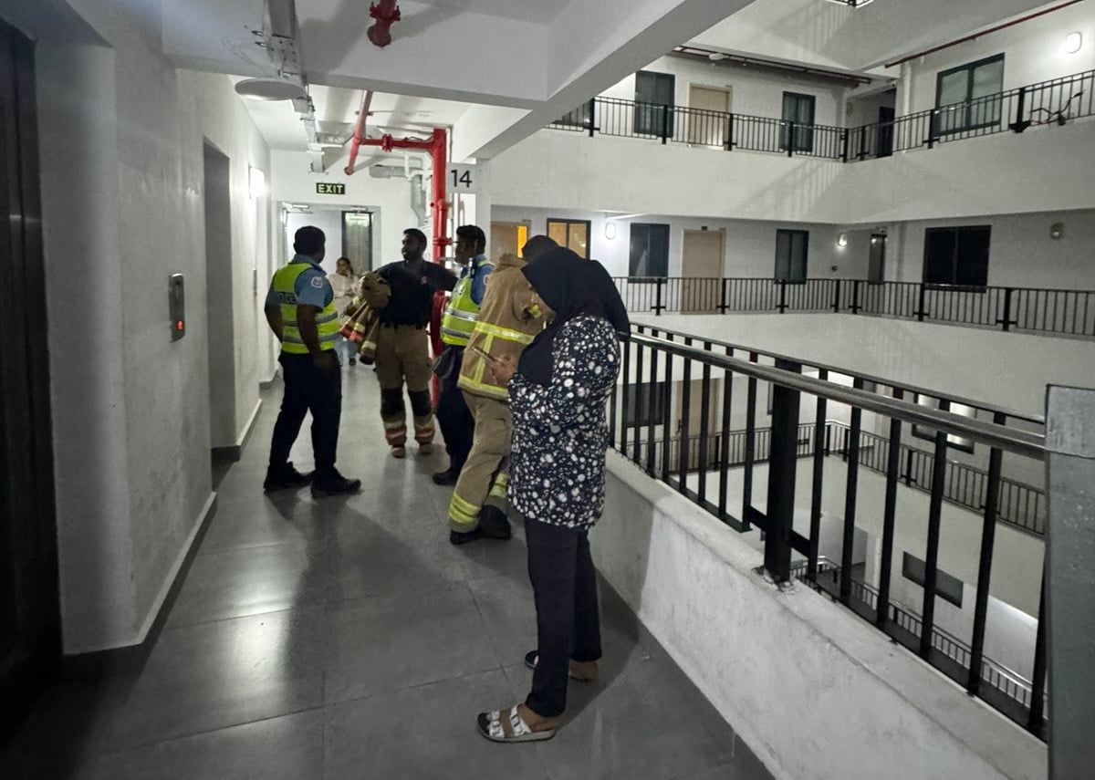 ހިޔާގައި ހިނގި އަލިފާނުގެ ހާދިސާގެ ތެރެއިން