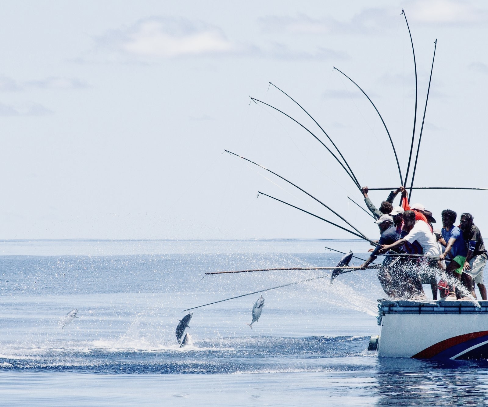 އެންމެ ބޮޑު ކުރިއެރުމެއް ލިބުނީ މަސްވެރިކަމުގެ ސިނާއަތަށް