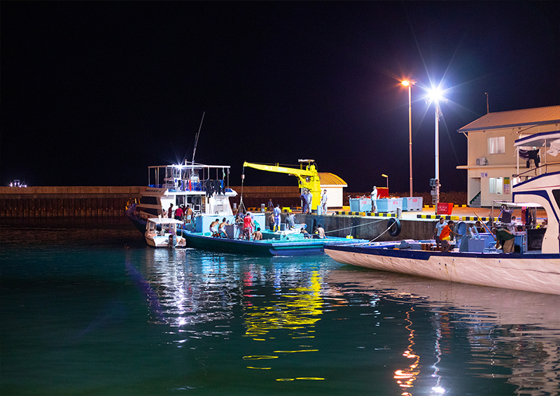 ފެލިވަރުން މިހާތަނަށް 75 މީހަކު ކޯވިޑަށް ޕޮޒިޓިވްވެއްޖެ