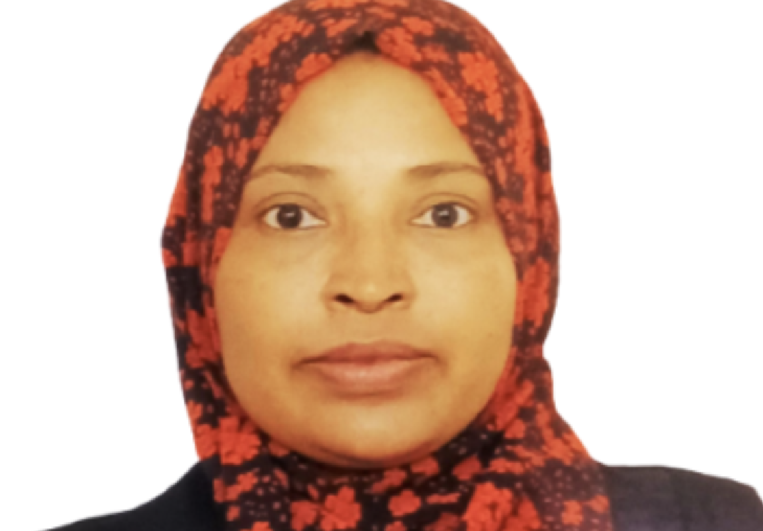 ހުޅުމާލެކޯޓުގެ އިސްމެޖިސްޓްރޭޓަށް ސުލޫކީ ފިޔަވަޅު އަޅަން ނިންމައިފި