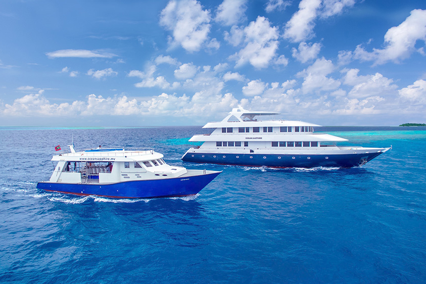 އީޔޫގެ އެހީގެ ދަށުން 259 ވިޔަފާރިއަކަށް 9.8 މިލިއަން ރުފިޔާ