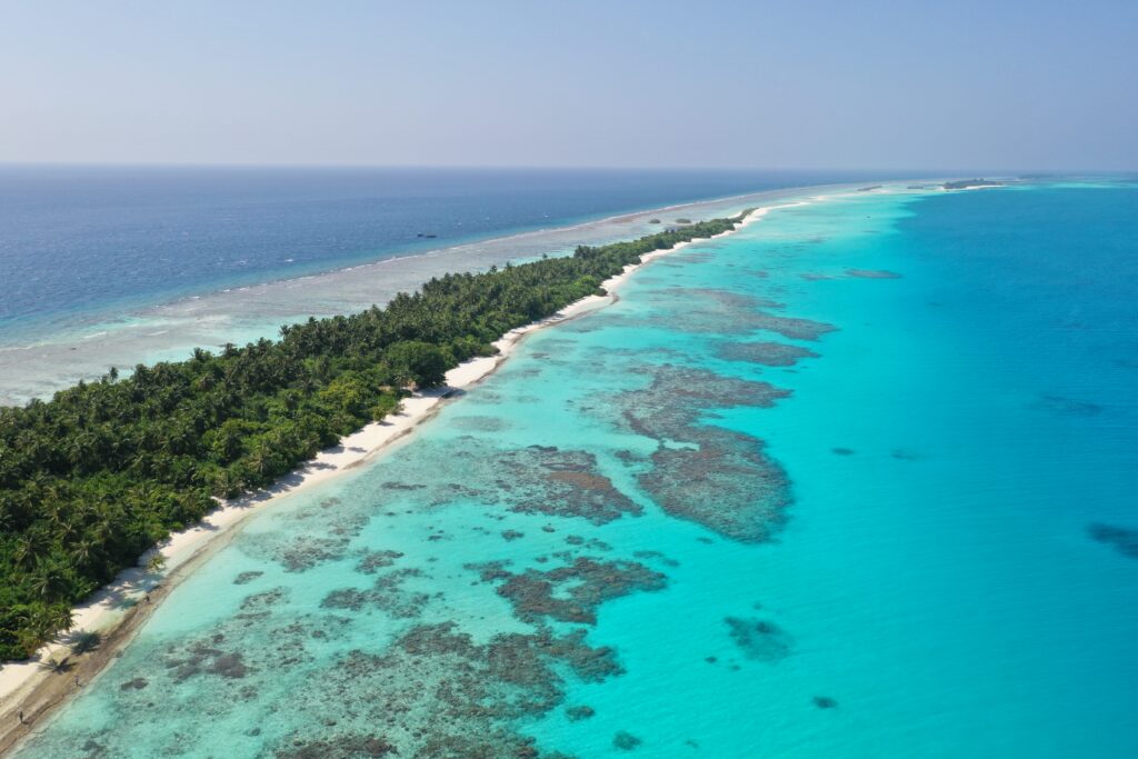 ދިގުރަށު ކުނިގޮނޑަށް އެއްލާލާފައި އޮތް ކުއްޖާގެ މަންމަ އެއާޕޯޓުން ހައްޔަރުކޮށްފި