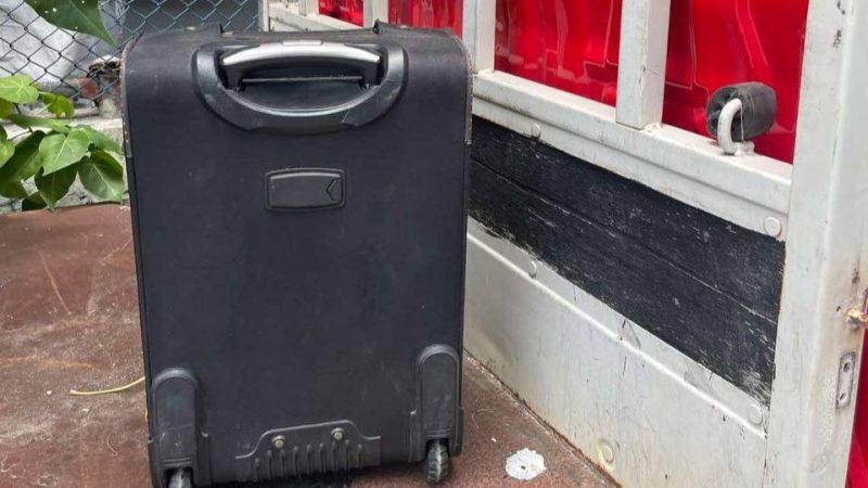 ޝައްކުވާ ފޮއްޓެއް ބަލާފާސްކުރުމުން ފެނުނީ ހުސް ކުނި