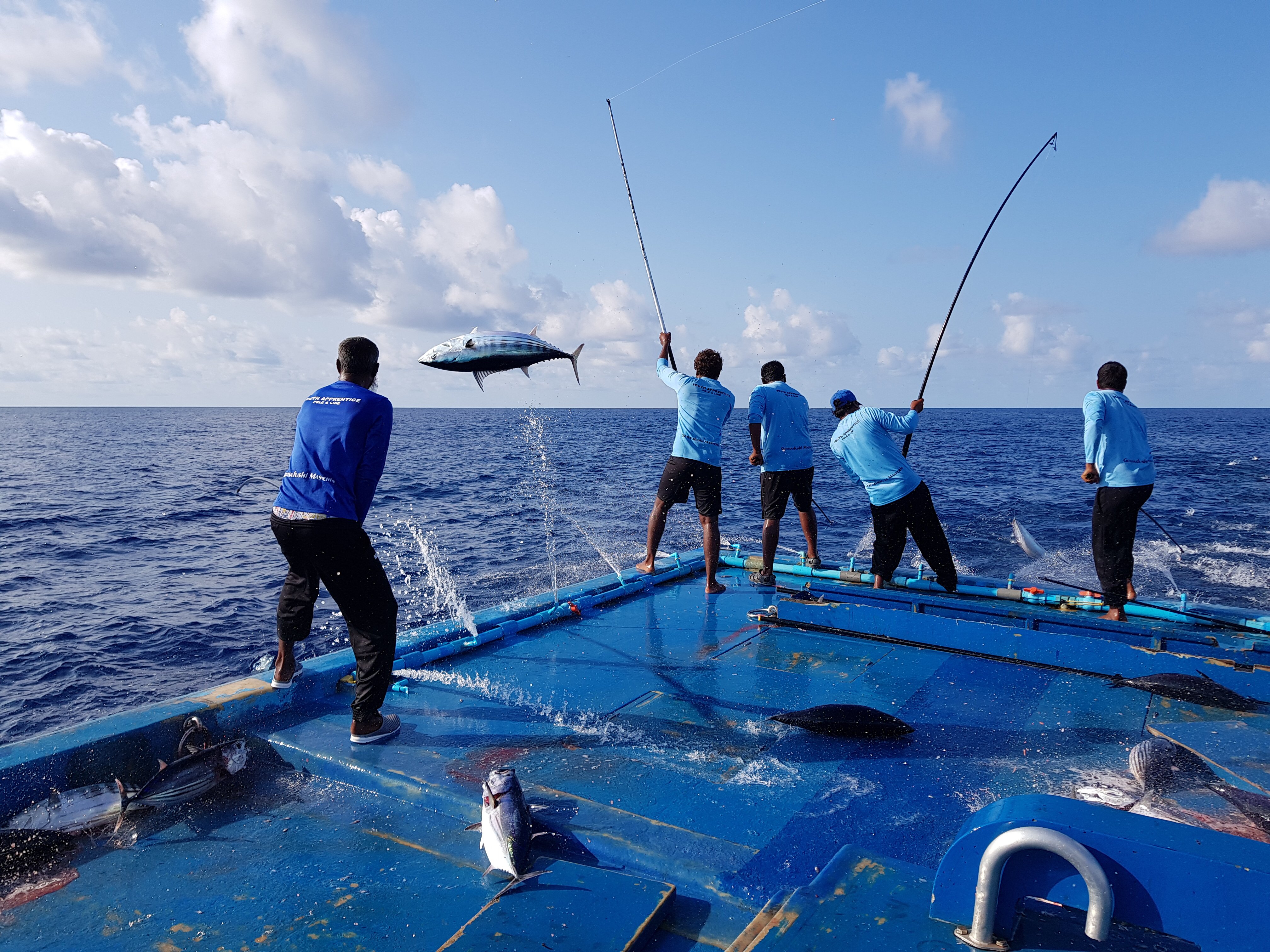 މިފްކޯއިން މަސްވެރިންނަށް ދޭންޖެހޭ ހުރިހާ ފައިސާއެއްދީ ޚަލާސްކޮށްފި