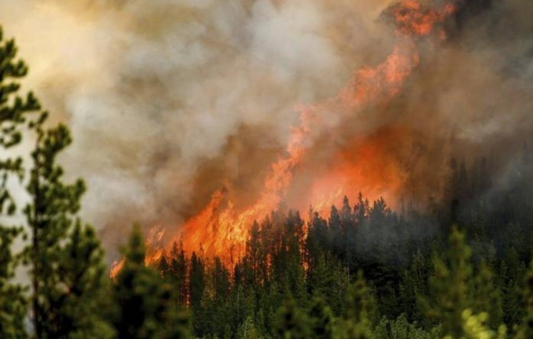 ކެނަޑާގެ ޖަންގަލިން ދިހަ މިލިއަން ހެކްޓަރު އަނދައިފި