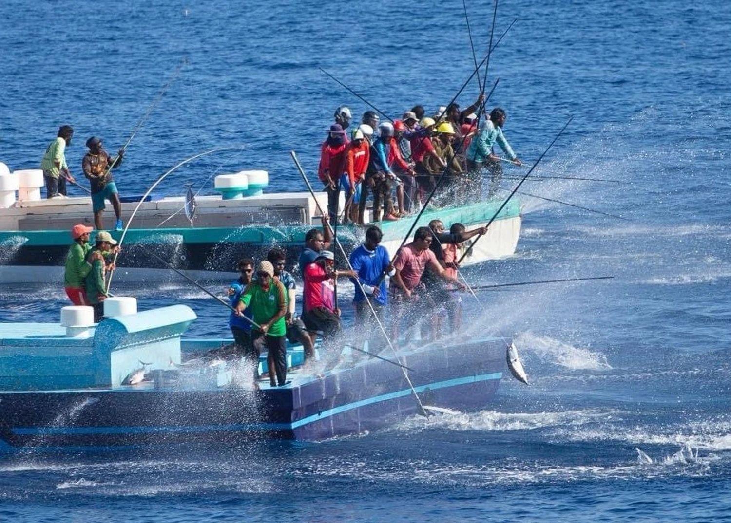 2 ދާއިރާއަކުން މަސްވެރިންނަށް ދޭ އެވޯޑަށް ކުރިމަތިލުމުގެ މުއްދަތު އިތުރުކޮށްފި