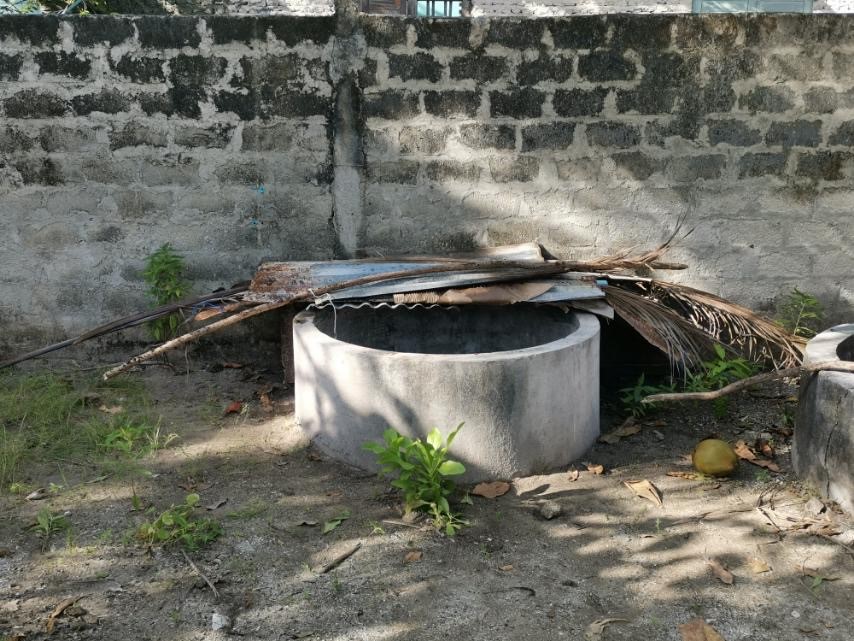 ދަނގެތީީ ޤަތުލު: މަޙްމޫދު މަރާލިކަމަށް ތުހުމަތުކުރެވޭ ބިދޭސީއަކު ހައްޔަރުކޮށްފި