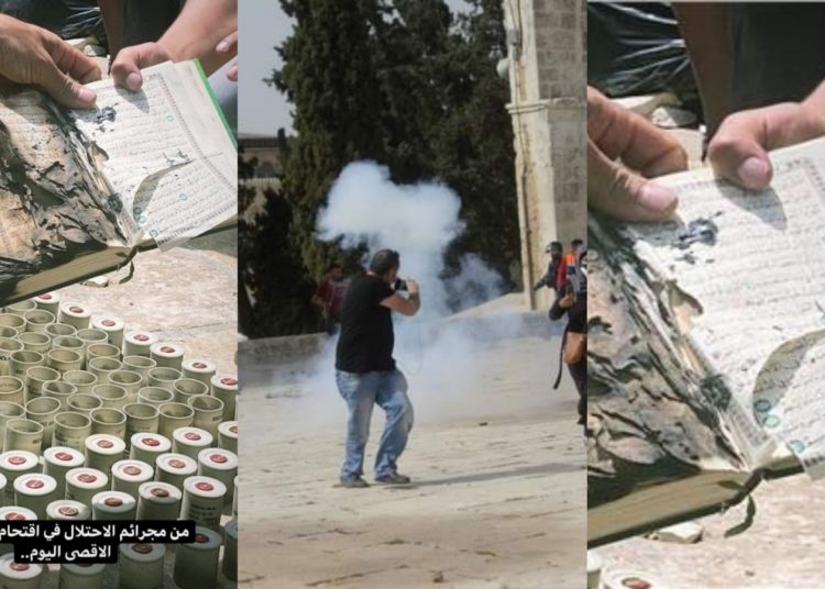 ޔަހޫދީންނަށް އަންދާނުލެވުނު އާޔަތް: މާތްﷲ މުސްލިމުންނަށް ނަސްރު ދެއްވާނެކަމުގެ އުފާވެރި ޚަބަރު!